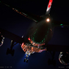  last flight .