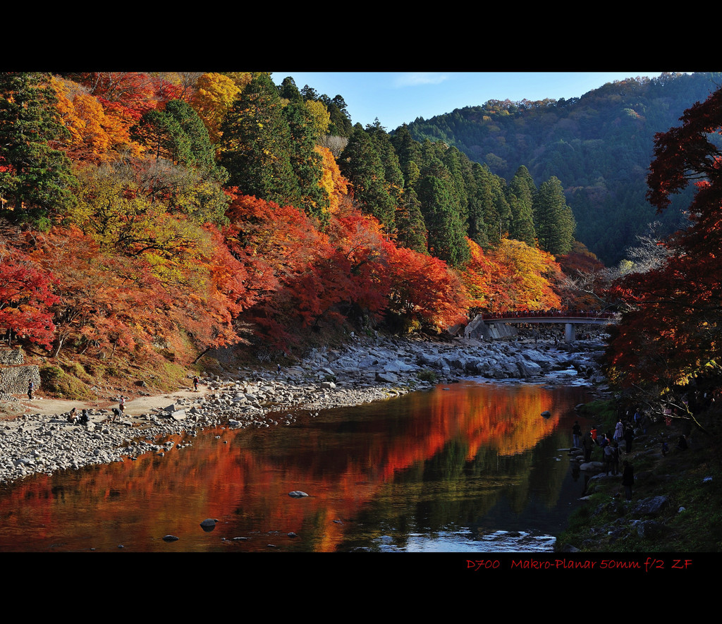 autumn colors.2