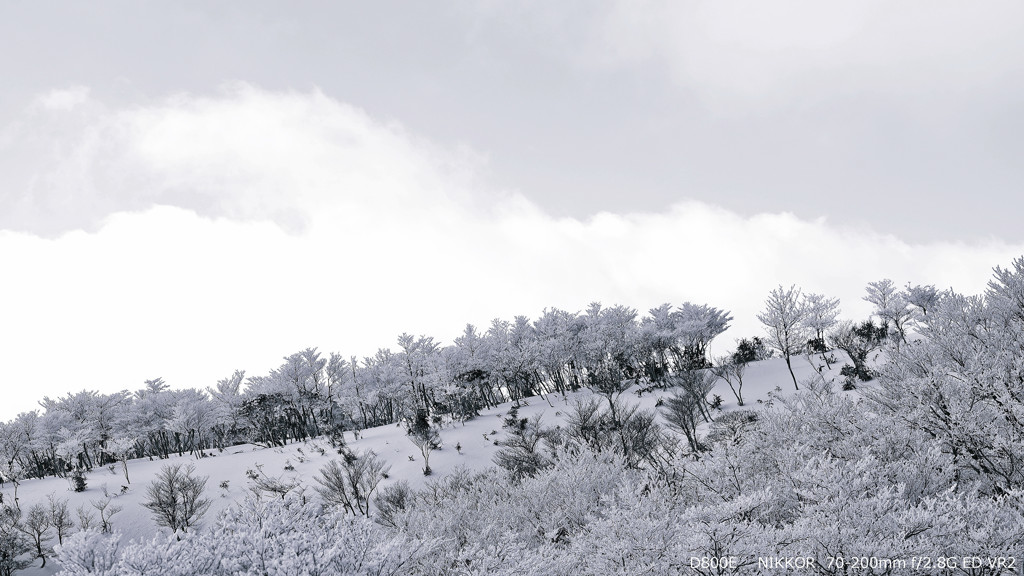 freeze.2