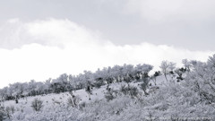 freeze.2