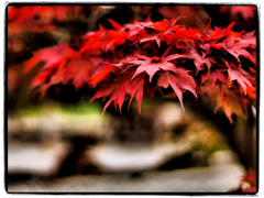 Autumn begins. 2