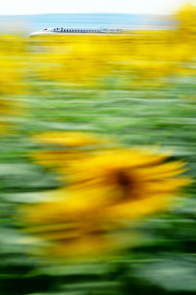 yellow express.2