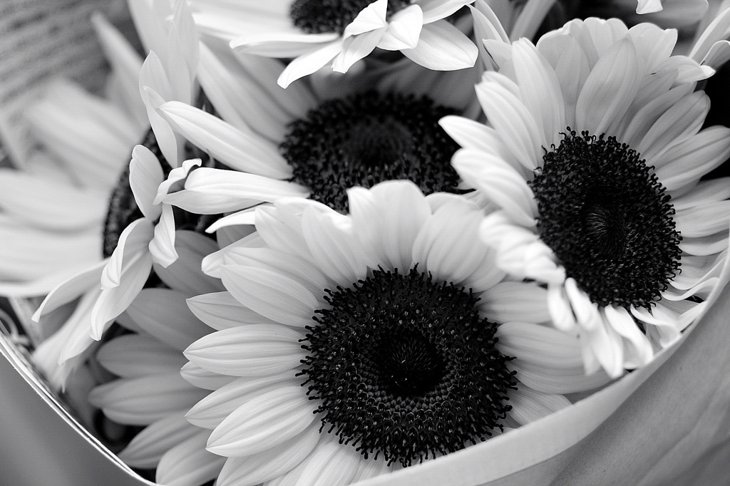 The flower for decorating Ｂ