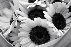 The flower for decorating Ｂ