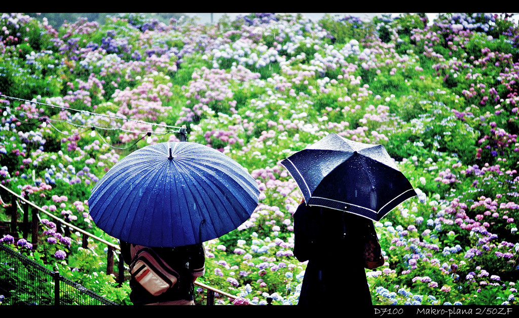 雨物語.7