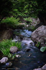 Early summer.1