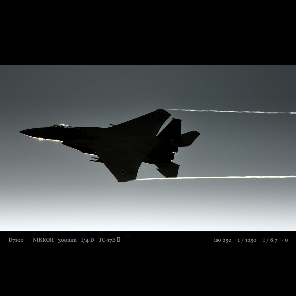 blackbird.