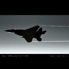 blackbird.