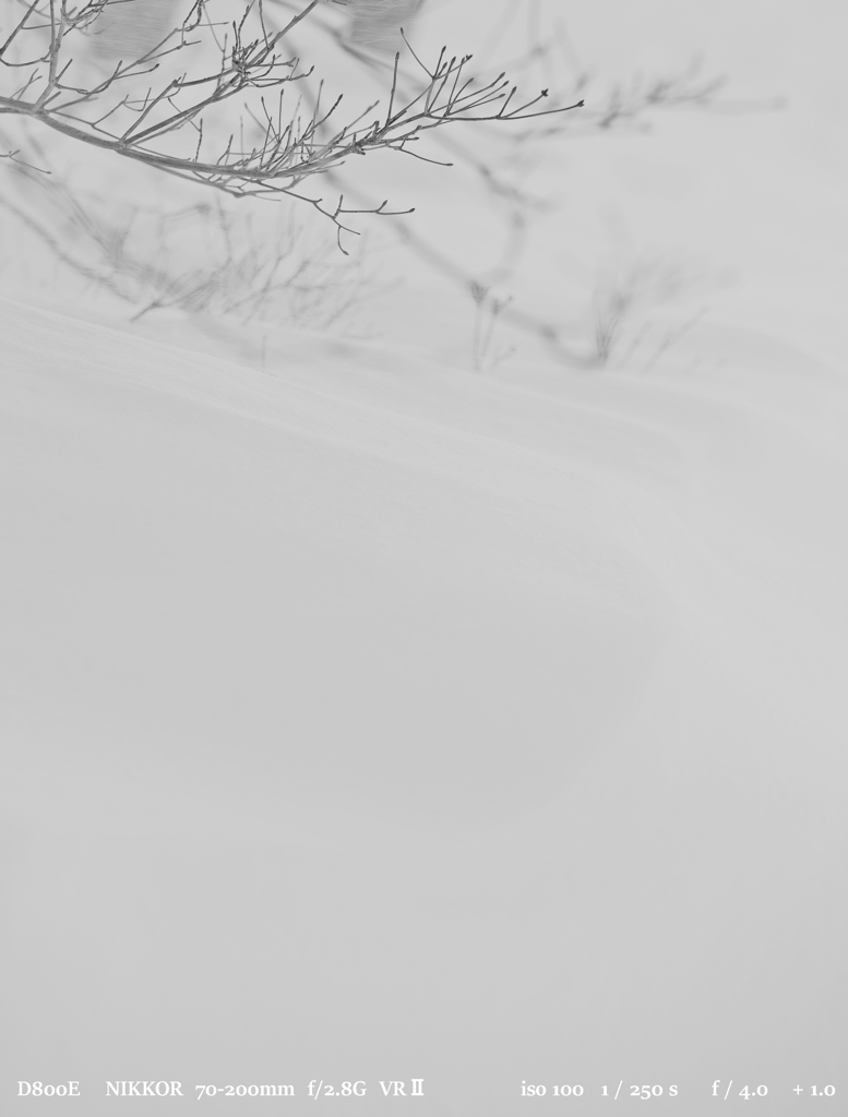 powder.1