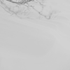 powder.1