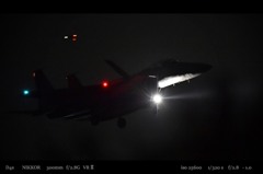 Moonless night bird .2