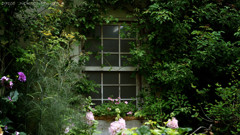 Jardin.1