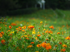 relaxation　Garden E