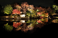 白鳥庭園～名古屋市熱田区