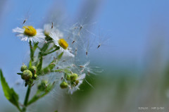 旅の途中･･･