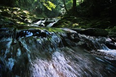 森の天然水