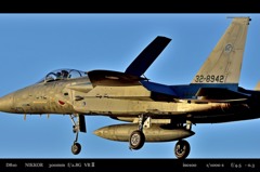 EAGLE DRIVER.1