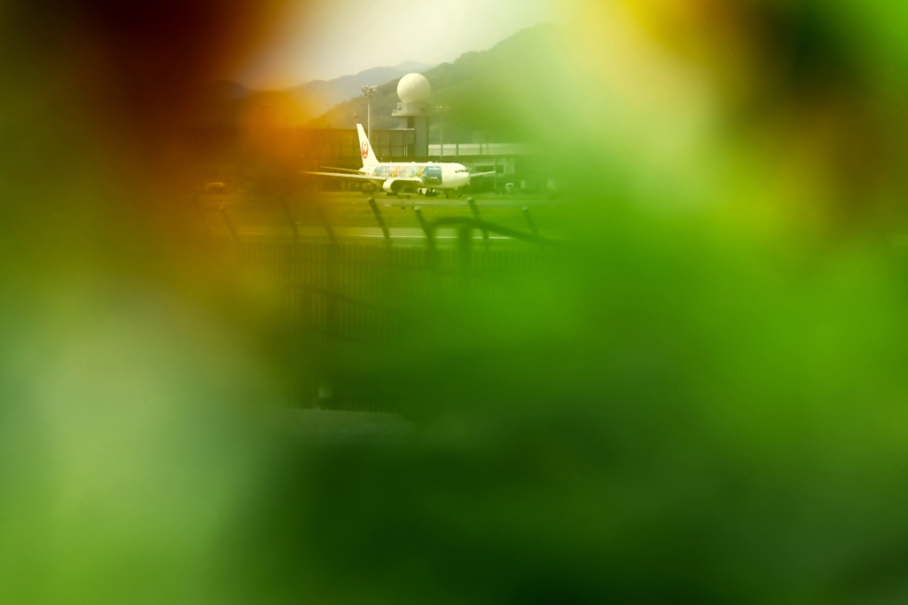 Sunflower　.3