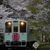 　桜　号