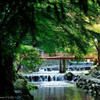 mineral water .4