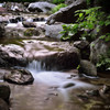 Early summer.5