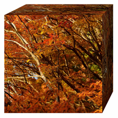 Autumn cube.2