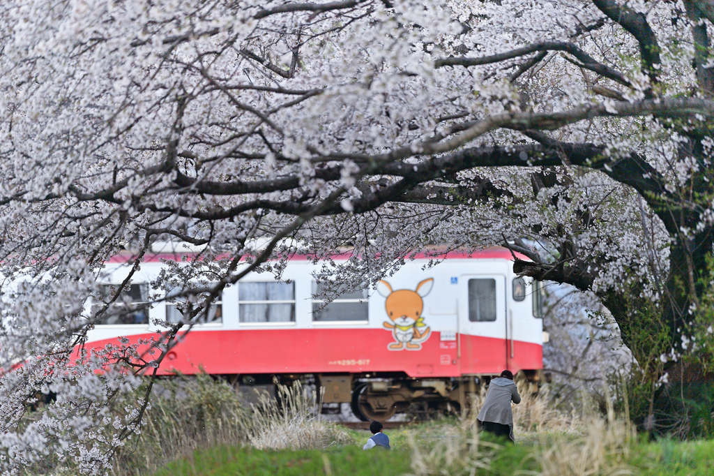  そ の 目 は 狩 人 に　　.