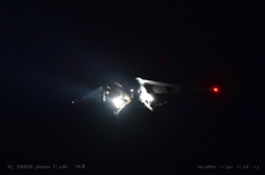 night bird .3