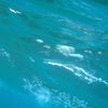 ドルフィンスルー「海の空」