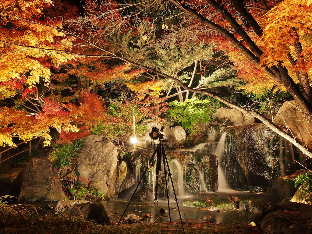 D700&manfrotto