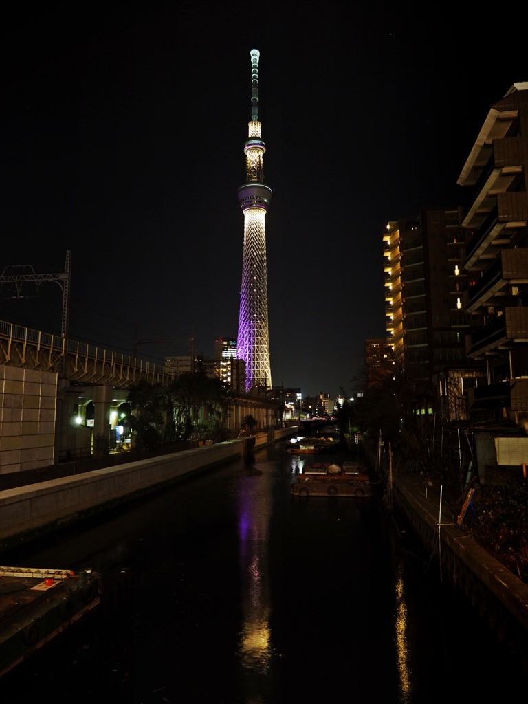 　どこー？ねぇどこー？　.