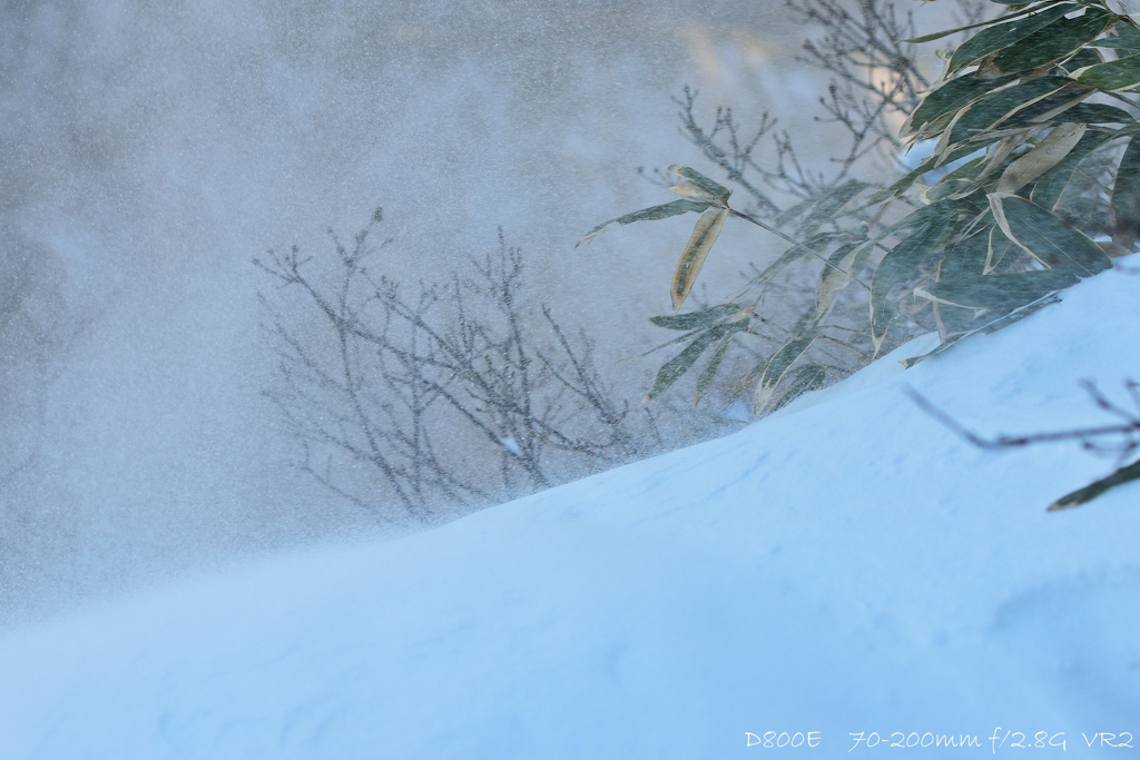 Blizzard.2