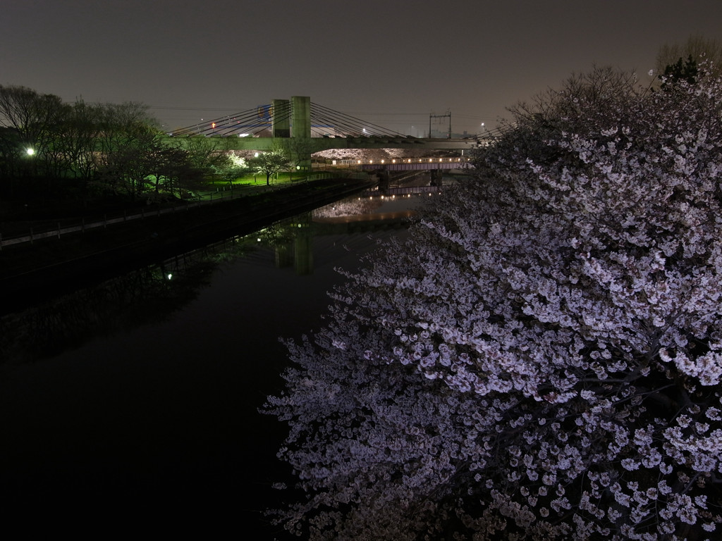 靜夜
