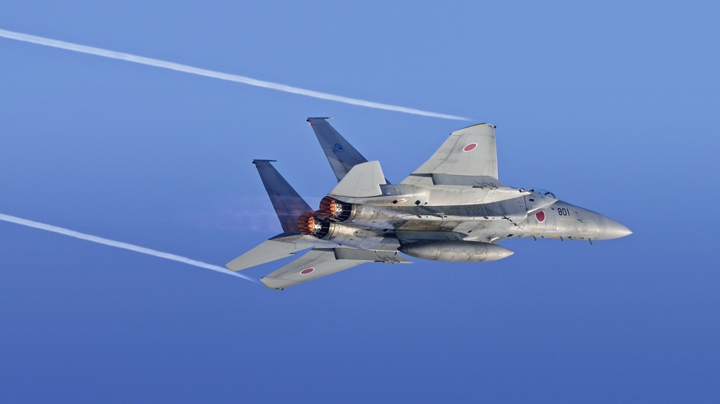 ファインダーを覗きながらカッチョエーって叫びながら追いかける喜び