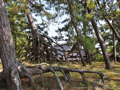 羽森神社