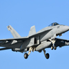 F/A-18E   .1