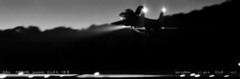 blackbird.1