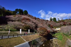 山 と 川 の あ る 町　.