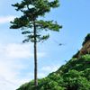 ちっちゃな秋のはじまり