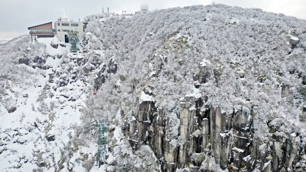 　ice coating .