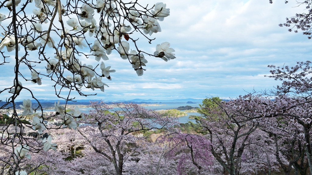 　日 本 三 景   .