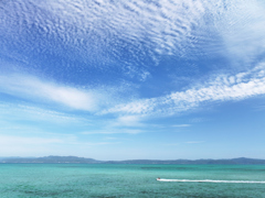Blue Paradise　.2