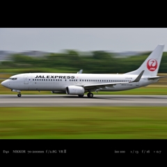 plane card.3