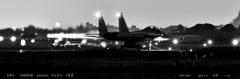 blackbird.2
