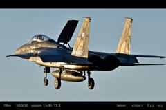 EAGLE DRIVER.2