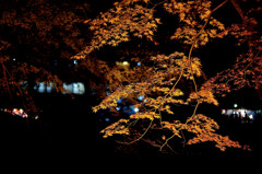 香嵐渓～ライトアップ撮影の難しさ