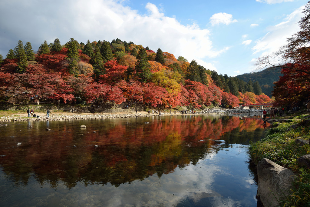 香嵐渓紅葉まつり.5