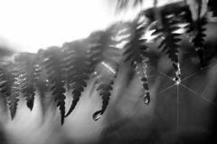 輝軸～Shaft of light