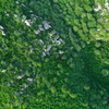 Green carpet　.