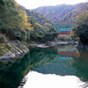 　Autumn　Color　.